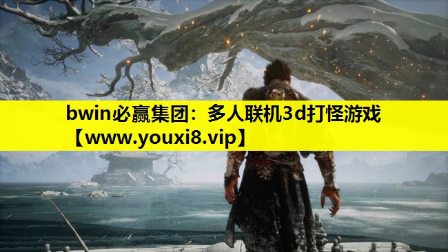 bwin必赢集团：多人联机3d打怪游戏