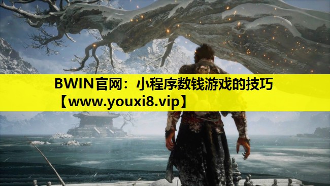 BWIN官网：小程序数钱游戏的技巧
