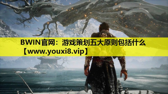 BWIN官网：游戏策划五大原则包括什么