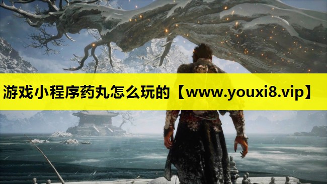 游戏小程序药丸怎么玩的